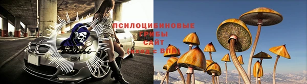 а пвп мука Болхов