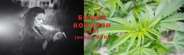 стафф Михайловск