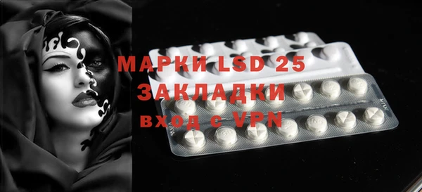 стафф Михайловск