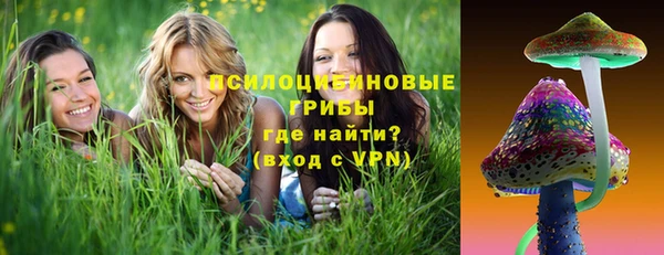 стафф Михайловск