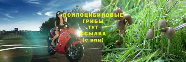 ECSTASY Михайлов
