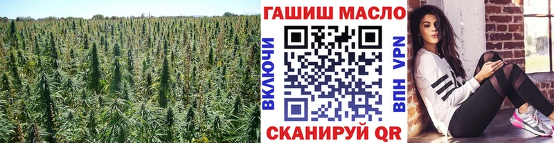 ТГК Wax  Чадан 